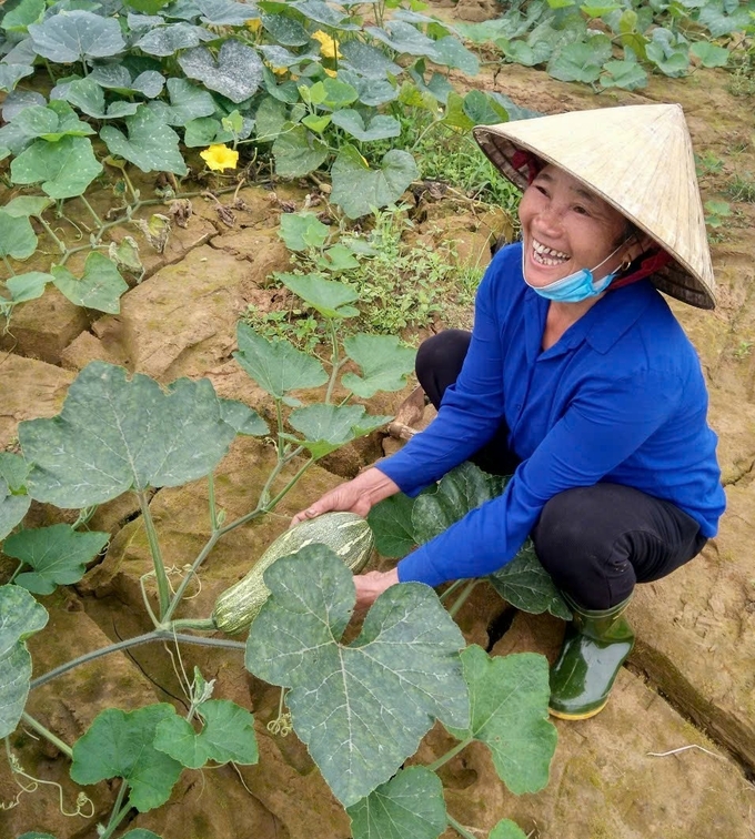 Nụ cười hạnh phúc của một nông dân khi thửa ruộng chuyển đổi trồng bí xanh trên đất lúa bị vùi lấp sau trận lũ lịch sử năm 2020 được mùa ngay sau vụ đầu tiên, mang lại thu nhập cao hơn nhiều lần trồng lúa trước đây. Ảnh: TTKNQG.