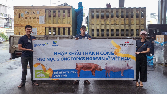 De Heus Việt Nam vừa nhập khẩu thành công heo đực giống Topigs Norsvin về Việt Nam.