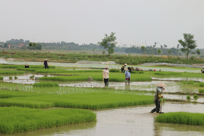 Sông Đa Độ và sông Giá đang cấp nước cho diện tích đất canh tác nông nghiệp gần gần 30.000ha. Ảnh: Đinh Mười.