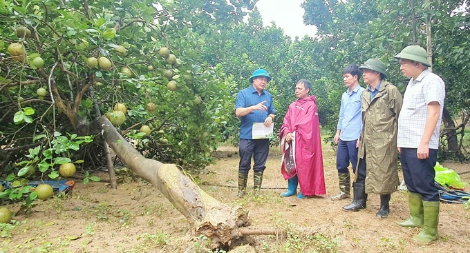 PGS.TS Lê Quốc Thanh chia sẻ với bà con Thái Nguyên cách phục hồi vườn cây sau ngập úng. Ảnh: Đồng Thái.