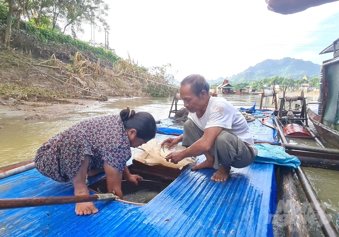 Những hộ nuôi cá lồng thường xuyên theo dõi tình trạng sức khỏe của cá sau mưa lũ đi qua. Ảnh: Đào Thanh.