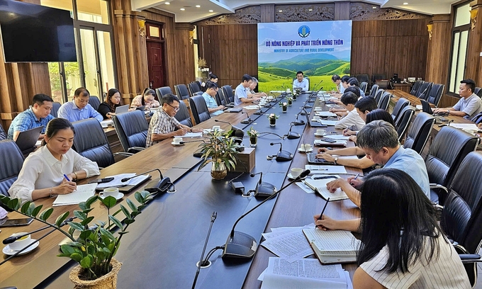 Deputy Minister Nguyen Quoc Tri chaired a meeting on the morning of September 26 on activities related to revenue from ERPA. Photo: Bao Thang.