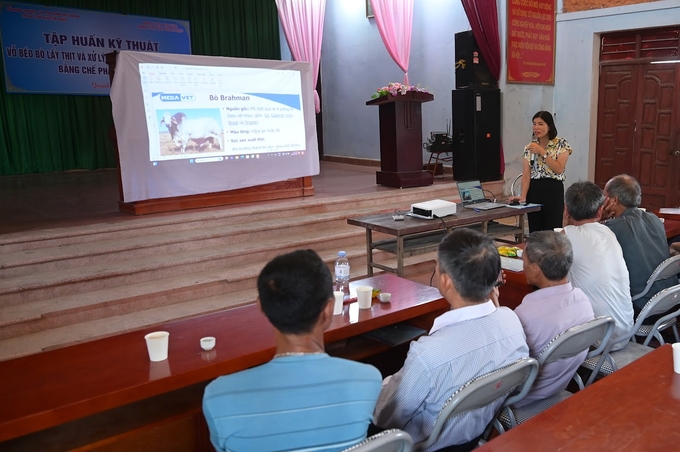 Nguyen Thi Gam, Bac Giang Agricultural Extension Center, integrates disease prevention into the training program on fattening cattle. Photo: Tung Dinh.