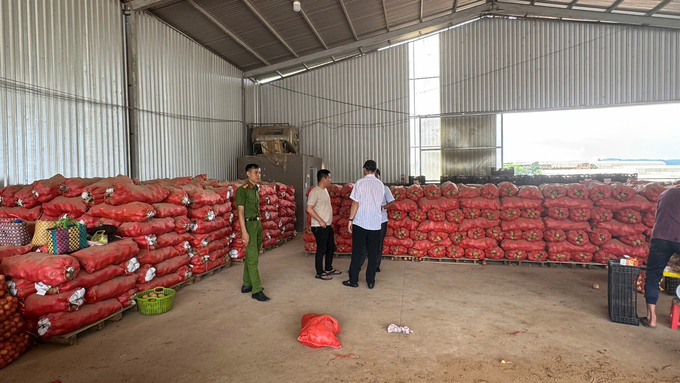 Da Lat City strengthened its efforts in reviewing, inspecting, detecting, and addressing illegal potato imports. Photo: V.T.