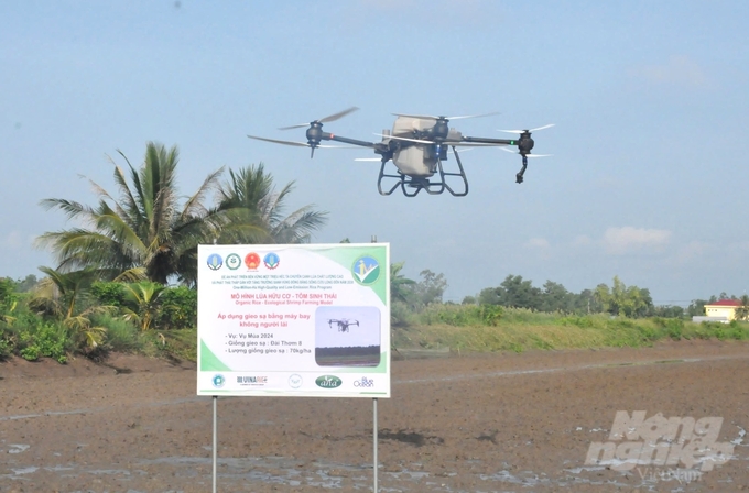 The pilot production model of 'Organic Rice – Ecological Shrimp' applies new technical advances and technologies to production. Photo: Trung Chanh.