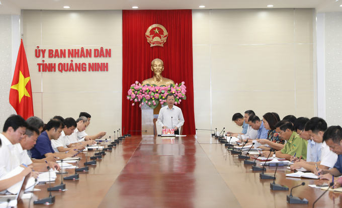 Mr. Cao Tuong Huy, Chairman of the Quang Ninh People's Committee, chaired the meeting to discuss recovery efforts after Typhoon No. 3. Photo: Vu Cuong.