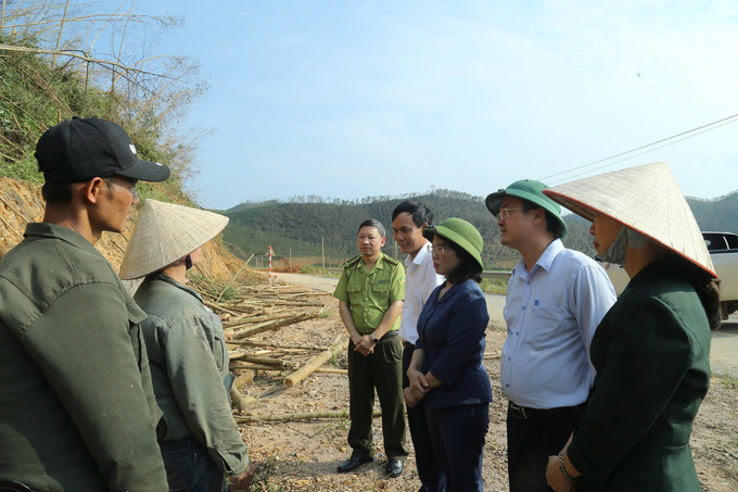 The leaders of Quang Ninh province discuss with forest growers in Ha Long City. Photo: NT.