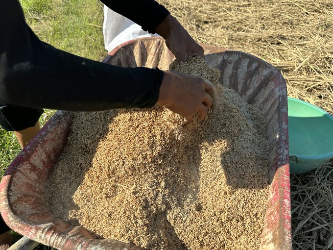 Mixing microbial preparation. Photo: Quang Linh.