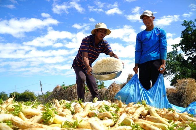 Food system transformation contributes to improving people's income and quality of life and responding to climate change. Photo: Kim Anh.