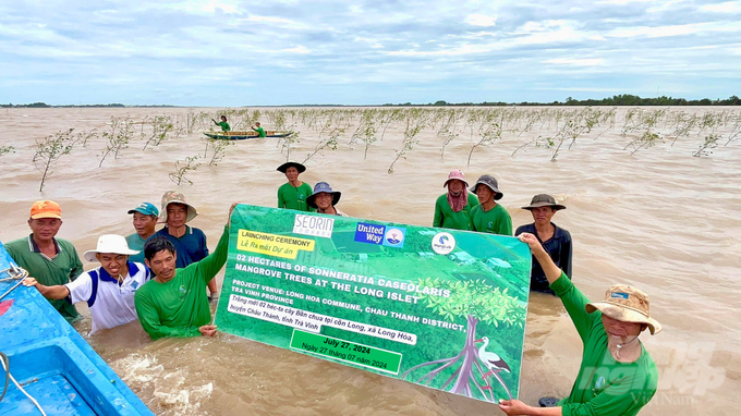 A forest planting event in Long Hoa Commune, Chau Thanh District, Tra Vinh Province. Photo: HT.