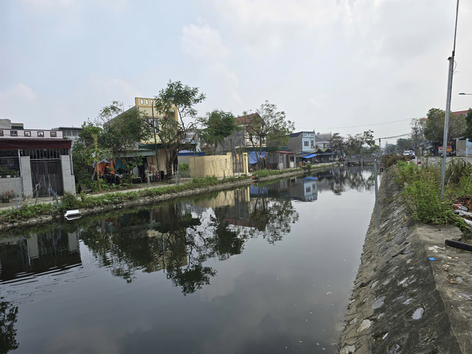 Water from livestock farms and residential areas overflows into canals after heavy rains, causing serious pollution. It is also one of the sources of disease transmission. Photo: Dinh Muoi.