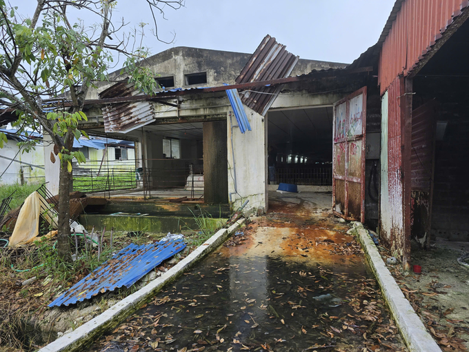 A pig farm devastated after the storm. Photo: Dinh Muoi.