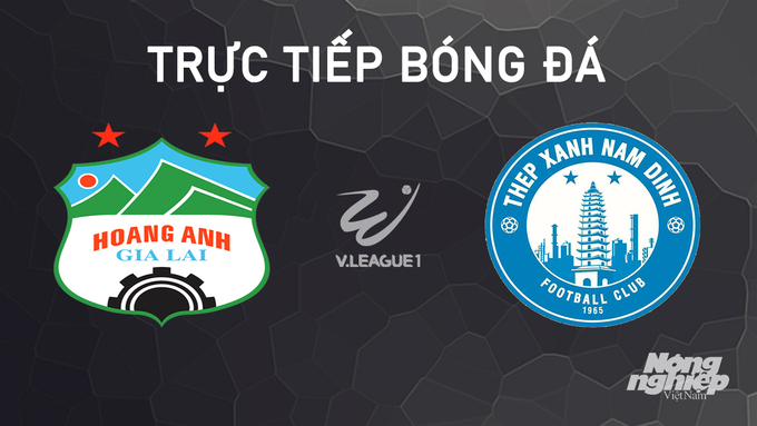 Trực tiếp bóng đá V-League 2024/25 giữa HAGL vs Nam Định hôm nay 28/9/2024