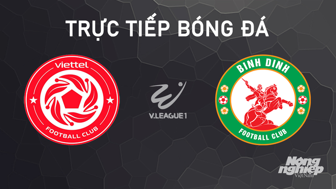 Trực tiếp bóng đá V-League 2024/25 giữa Viettel vs Bình Định hôm nay 28/9/2024