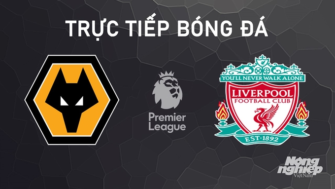 Trực tiếp bóng đá Ngoại hạng Anh giữa Wolves vs Liverpool hôm nay 28/9/2024