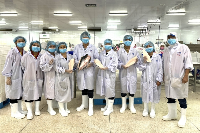 Vietnamese researchers visit the Sao Mai catfish processing plant in Dong Thap province, February 2024. Photo: Trinh Thi Lan, An Giang University.