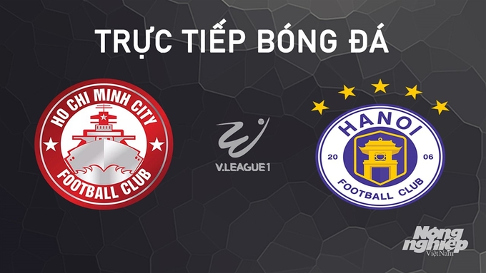 Trực tiếp bóng đá V-League 2024/25 giữa TP.HCM vs Hà Nội hôm nay 29/9/2024