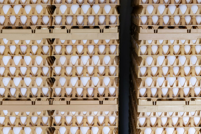 Ukrainian eggs are reportedly 20-30% cheaper compared to those manufactured by Bulgarian farmers. Photo: Canva.