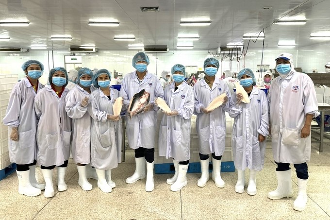 Vietnam's researchers visited the Sao Mai catfish processing factory in Dong Thap province in February 2024. Photo: Trinh Thi Lan, An Giang University.