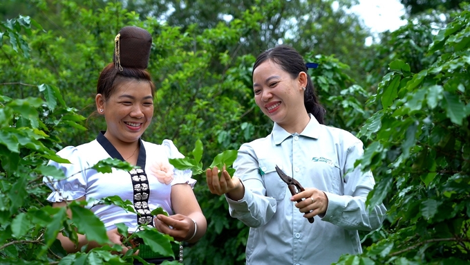 Son La's community agricultural extension is very good. Photo: Hoang Anh.