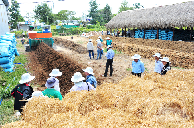 Ngành nông nghiệp TP Cần Thơ và IRRI đã hỗ trợ cho nhiều nông dân, HTX thực hiện quy trình xử lý rơm rạ làm phân bón hữu cơ. Ảnh: Lê Hoàng Vũ.