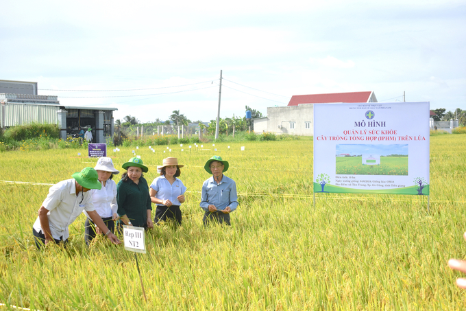 Chuyên gia, nhà khoa học và bà con nông dân trao đổi, chia sẻ về kết quả thực hiện mô hình. Ảnh: Minh Đảm.