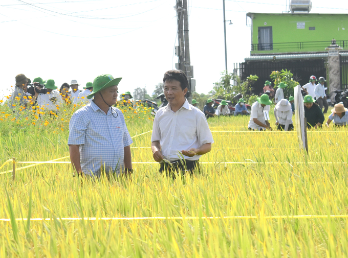 Ông Nguyễn Minh Thư (phải) và ông Châu Minh Hải chia sẻ về mô hình canh tác lúa áp dụng IPHM tại Gò Công. Ảnh: Minh Đảm.