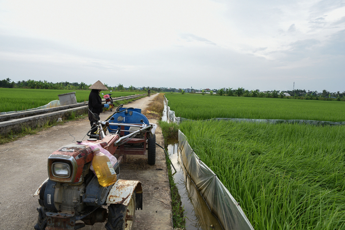 Trung bình vào mùa vụ mỗi ngày vợ chồng ông Nam ở trên đồng 14 - 16 giờ. Ảnh: Dương Đình Tường.