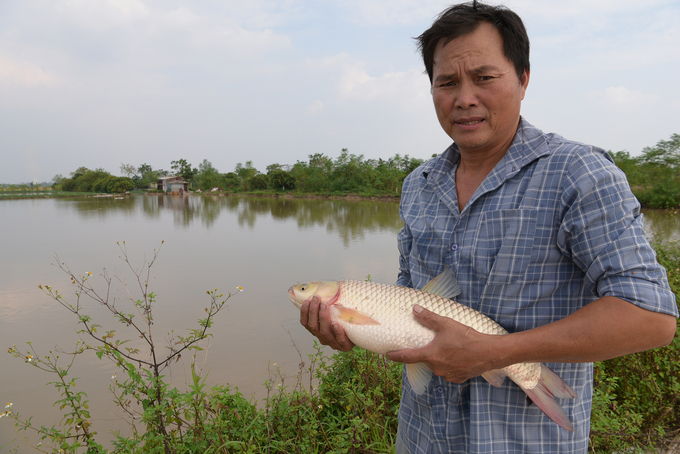 Anh Liêm kiểm tra cá. Ảnh: Dương Đình Tường.