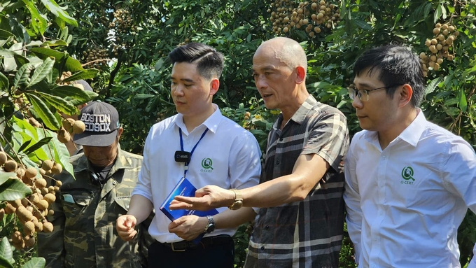 In recent years, a series of training programs for people on VietGAP farming have been organized by specialized agencies from the central to local levels. Photo: Bao Thang.