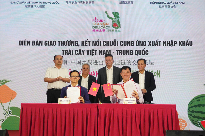 The business cooperation agreement was signed between Ameii Vietnam Joint Stock Company and Beijing Tan Hop Tac Development Company. Beijing Tan Hop Tac Development Company is a member of the Cung Tieu Group, which has 1.400 stores and an underground store system. Photo: Hong Tham.