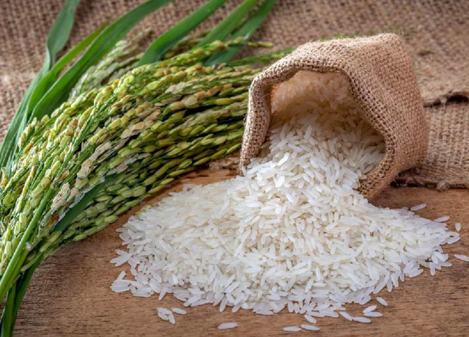 Iran’s agriculture ministry expects domestic rice production to reach 2.7 million mt this year.