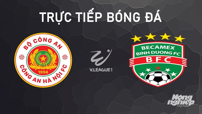 Trực tiếp bóng đá V-League 2024/25 giữa CAHN vs Bình Dương hôm nay 30/9/2024