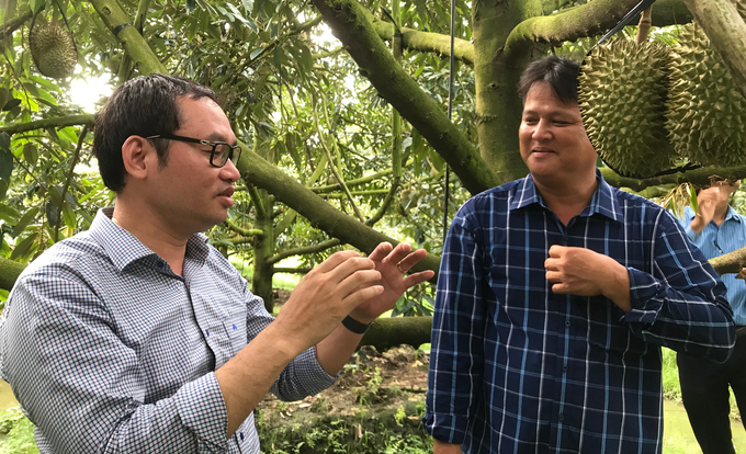 The Plant Protection Department visited a durian garden applying a safe pesticide residue cultivation model in Tien Giang. Photo: Minh Dam.