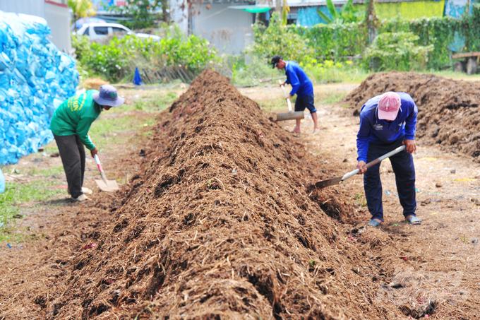 The finished organic fertilizer made from rice straw is used to nourish crops. Photo: Le Hoang Vu.