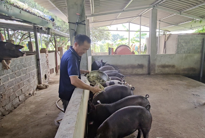 Bà con nông dân vệ sinh sạch sẽ chuồng trại và tăng đàn khôi phục sản xuất. Ảnh: H.Đ.