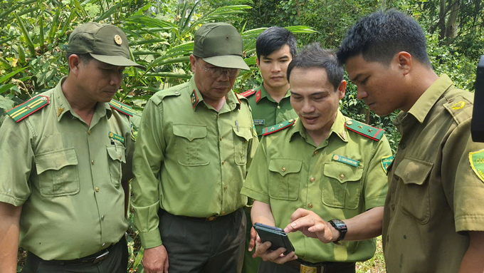 Việc ứng dụng khoa học công nghệ vào quản lý, bảo vệ rừng trong bối cảnh lực lượng mỏng được xem là một trong những giải pháp hiệu quả. Ảnh: KS.