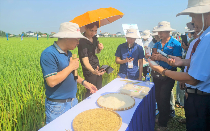 Chủ động nước tưới là nền tảng của thắng lợi. Ảnh: Việt Khánh. 