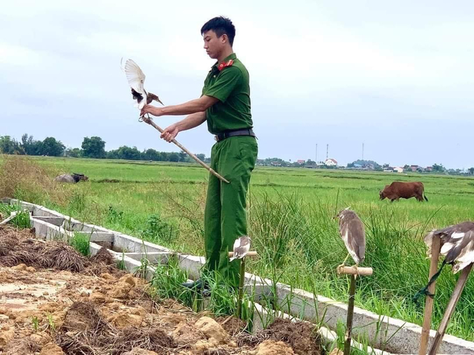 Công an huyện Thạch Hà tháo gỡ, tịch thu các bẫy chim hoang dã, chim di cư trái phép. Ảnh: Công an Thạch Hà.