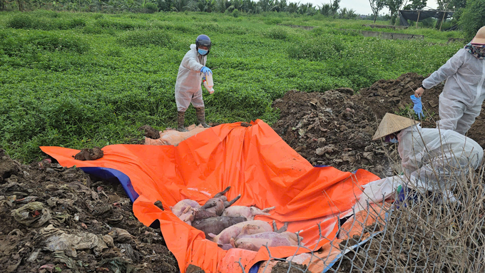 After the storm, many places are flooded, pathogens have spread everywhere, the risk of disease increases. Photo: Dinh Muoi.