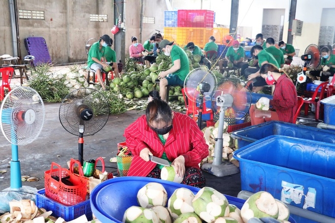 Ben Tre green coconut is granted a certificate of protection by the Canadian Intellectual Property Office.