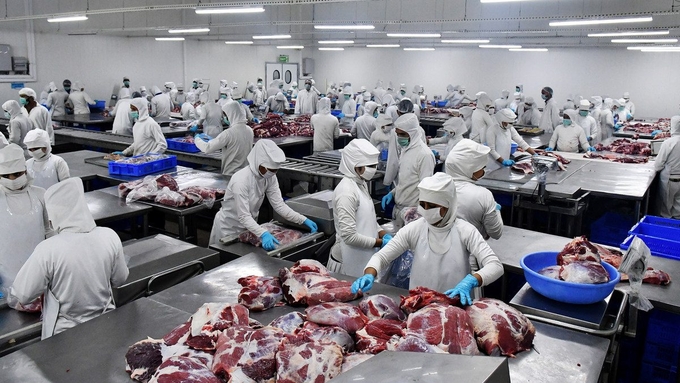 According to statistical data, India is the largest meat supplier to Vietnam, with a total export volume of over 102,000 tons, accounting for 25.3% of Vietnam's total imports. This is an increase of 17.5% compared to 2023. Photo: TT.