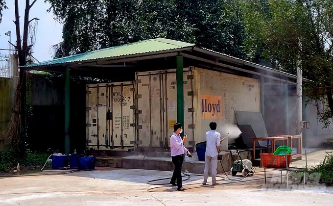 Refrigerated containers containing dead tigers' bodies in the Mango Garden tourist area are being disinfected by staff. Photo: MV.