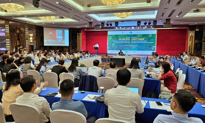 The workshop attracted the participation of about 150 delegates. Photo: Bao Thang.