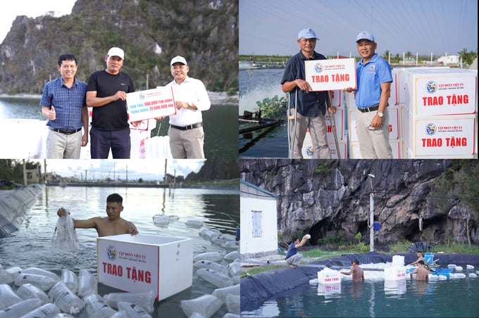 Phát huy tinh thần trách nhiệm với cộng đồng, Tập đoàn Việt Úc - đơn vị hàng đầu trong lĩnh vực sản xuất tôm giống và khép kín chuỗi giá trị ngành tôm đã hưởng ứng kế hoạch hỗ trợ khôi phục sản xuất nuôi trồng thủy sản sau bão số 3 do Bộ NN-PTNT phát động bằng nhiều hành động thiết thực, cụ thể.