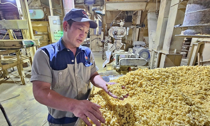 Fujinuco's input materials are carefully inspected. Photo: Bao Thang.