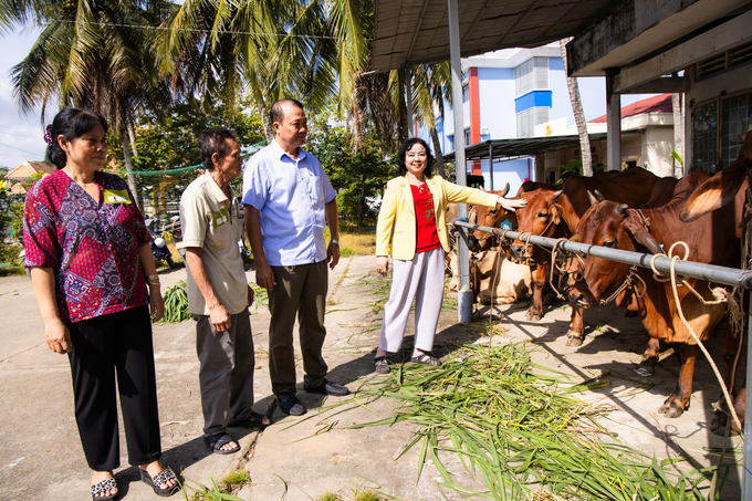 Ông Lê Văn Đông (đứng thứ 2 từ phải sang trái), Phó giám đốc Sở NN-PTNT Trà Vinh, bàn giao bò, tạo sinh kế cho bà con tại xã Bình Phú. Ảnh: Hồ Thảo.