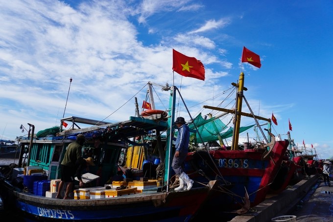 Fishermen's use of eCDT VN software only stops at sending the port export and leaving requests. Logging on the system is still limited. Photo: Hong Tham.