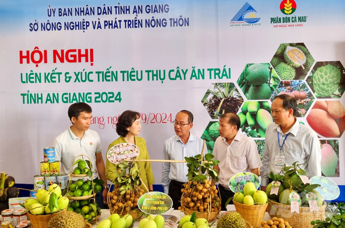 Recently, the association and consumption of fruit trees have received attention, and businesses have invested and promoted association in large-scale specialized growing areas. Photo: Le Hoang Vu.