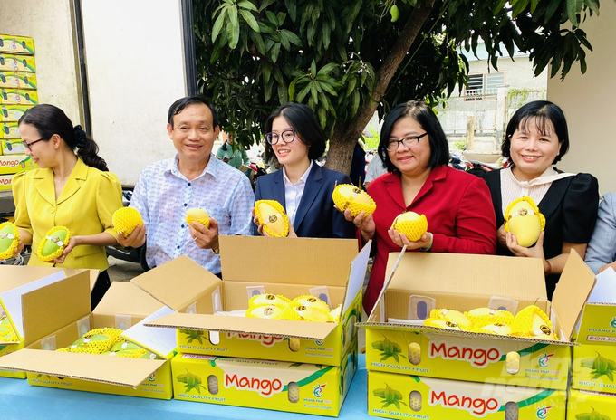 An Phu district held a ceremony to announce the export of Keo mango to the Korean market. Photo: Le Hoang Vu.